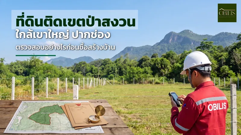 ที่ดินติดเขตป่าสงวนใกล้เขาใหญ่ปากช่อง ตรวจสอบอย่างไรก่อนซื้อสร้างบ้าน